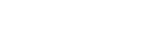 Sulzer Logo